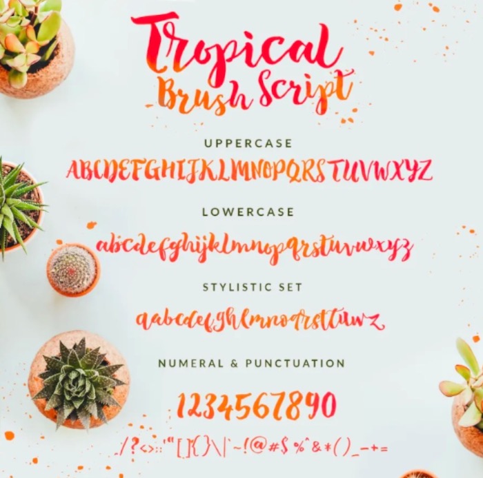 The Tropical Font