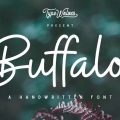 Buffalo Font download