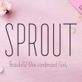 Sprout Font download