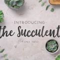 The Succulent Font