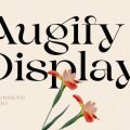 Augify Display Font download
