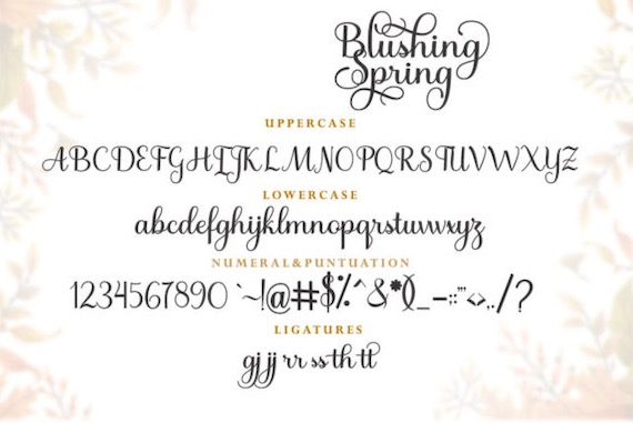 Blushing Spring Font download