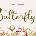 Cute Butterfly Font download