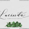 Lucinda Script Font download