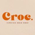 Croc Font download