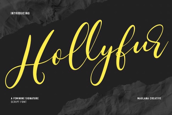 Hollyfur Font