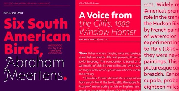 Rosales Font free