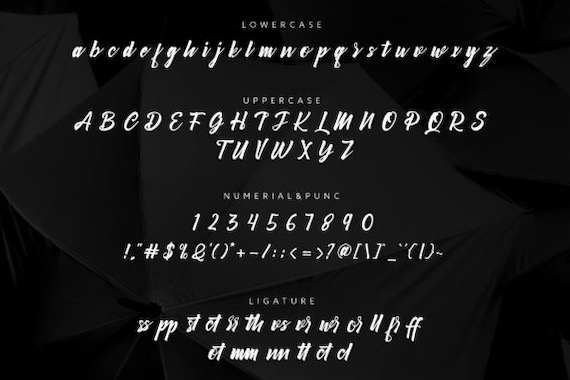 Cambridge Script Font free