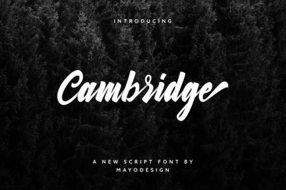 Cambridge Script Font