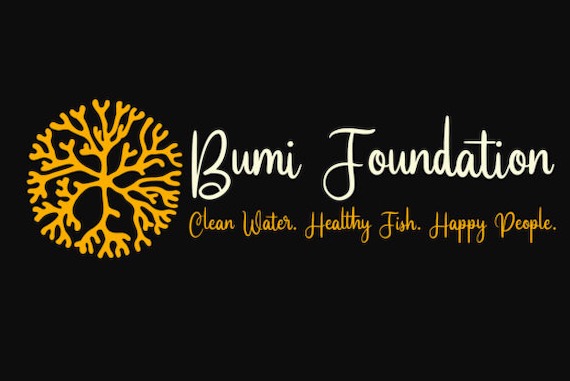 Fesamore Font download