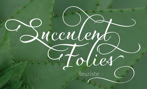 Waylom Font download