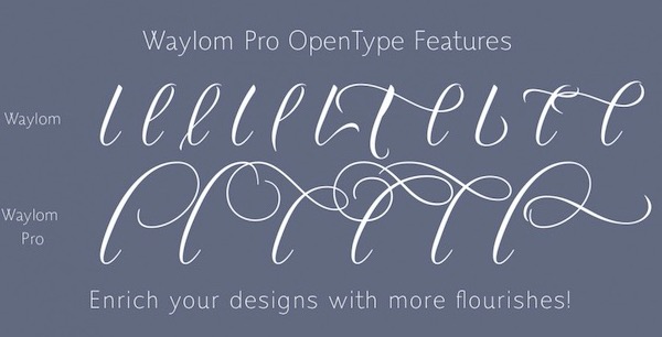 Waylom Font free