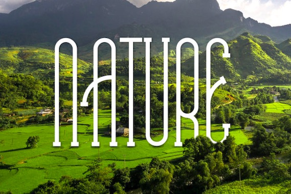 Andaline Font download