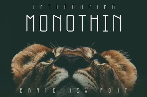 Monothin Font download