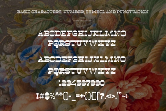 Rise Font free