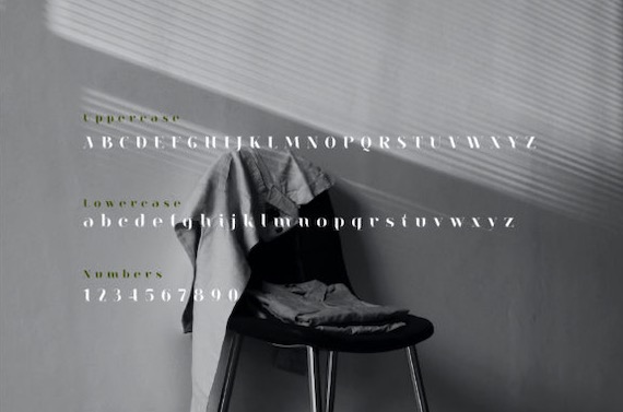 Emility Font free