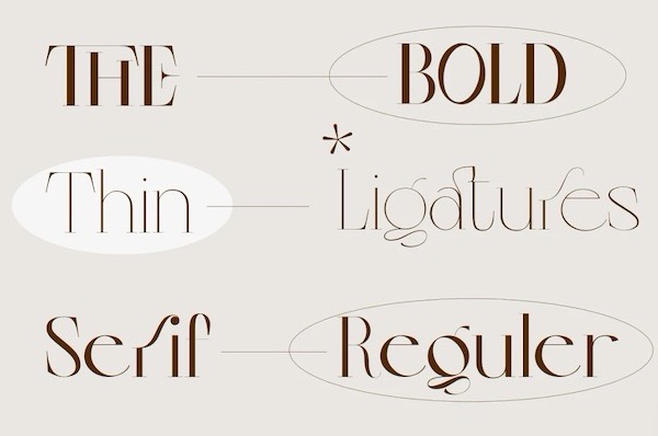 Colibre Bristole Pro Font free