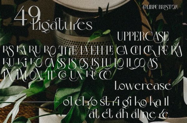 free Colibre Bristole Pro Font
