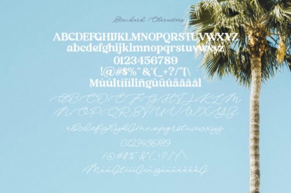 free Aima Font Duo