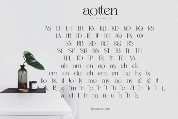 free Aotten Font