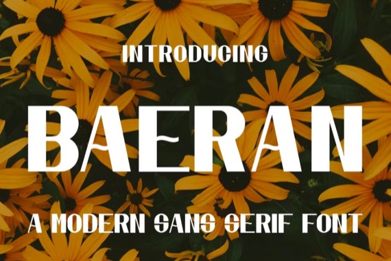 Baeran Font free