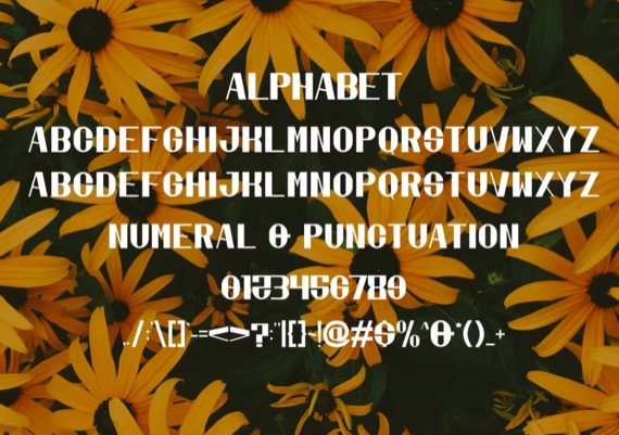 free Baeran Font