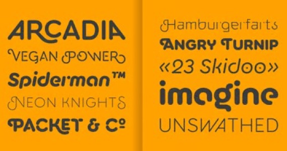 Torus Font free