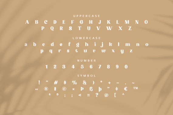 Molendra Font free