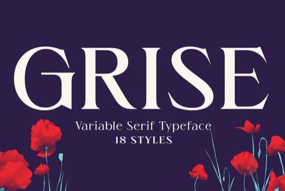 Grise Font Family free