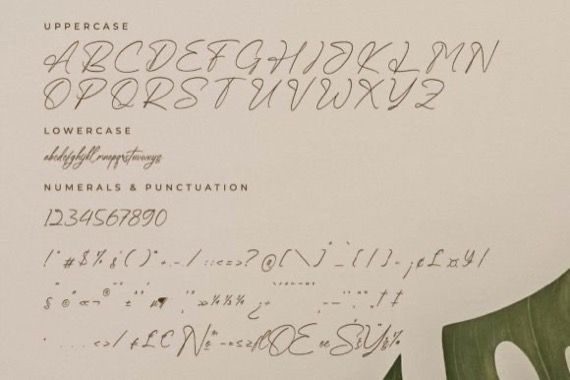 free Qedgan Mellodysta Font Duo