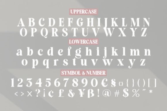 Rangile Font free