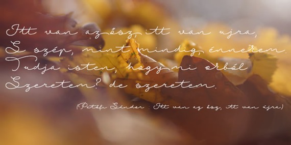 Autumn Chant Font