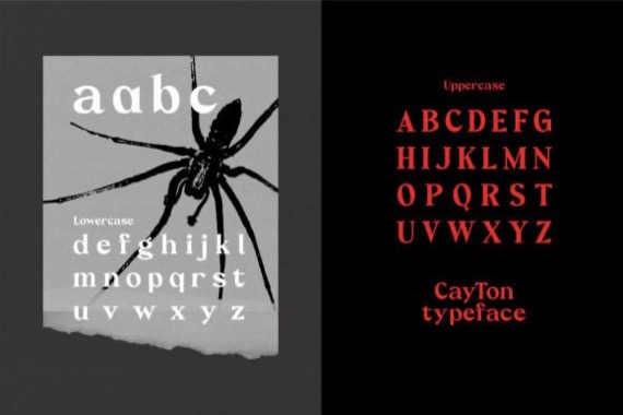 Cayton Font free