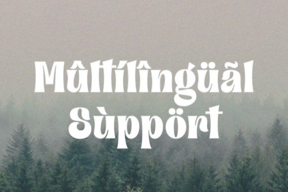 Payback Font free